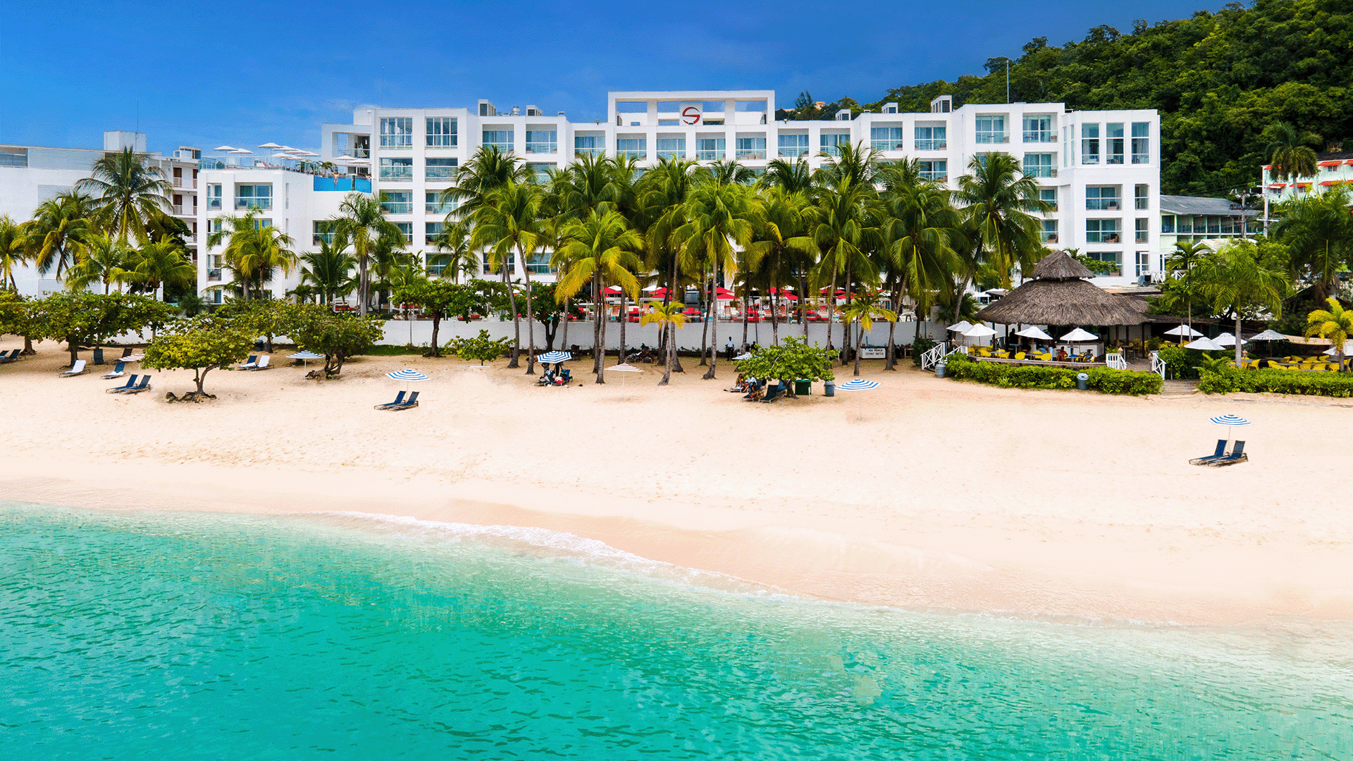 Accommodation in Jamaica – Hotels, Resorts & Where to Stay Beachfront hotel accommodation in Jamaica with palm trees and calm ocean views
