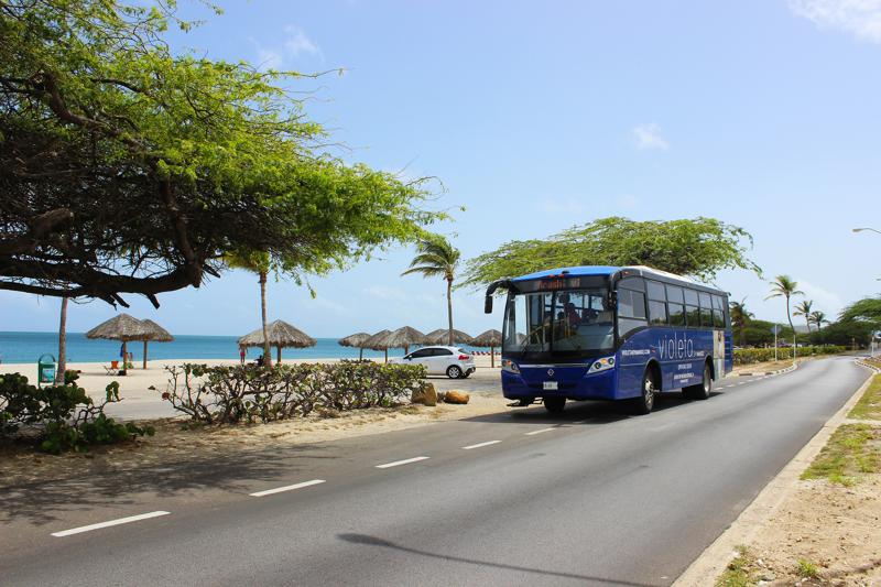 Aruba Transportation Guide – Buses, Car Rentals and Easy Ways to Get Around Arubus public bus driving along a coastal road next to Eagle Beach in Aruba