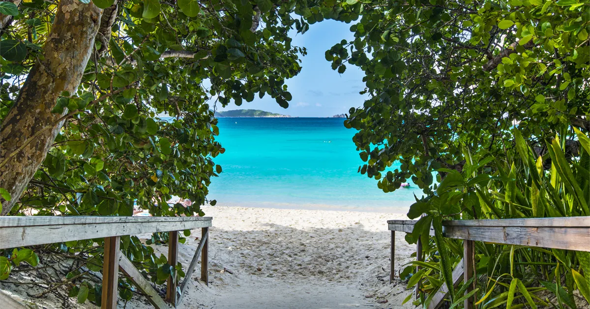 Beaches in the Virgin Islands – Pristine White Sand and Turquoise Waters Secluded white sand beach and turquoise water framed by tropical greenery in the Virgin Islands