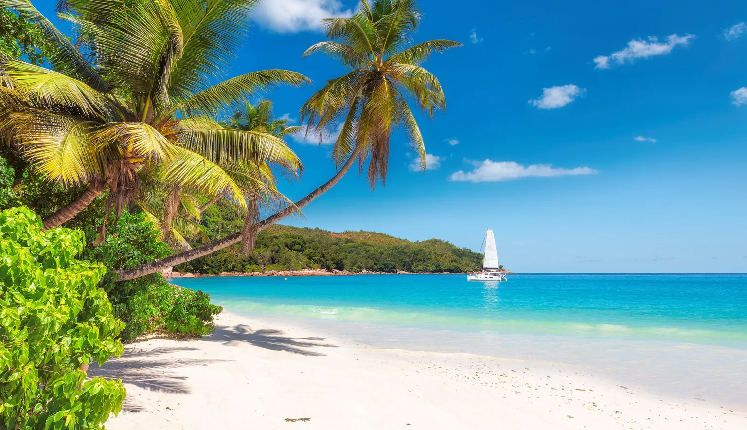 Best Beaches in Jamaica – Calm Bays, Scenic Shores & Relaxed Beach Days Quiet tropical beach in Jamaica with turquoise water, palm trees and a sailboat in the distance
