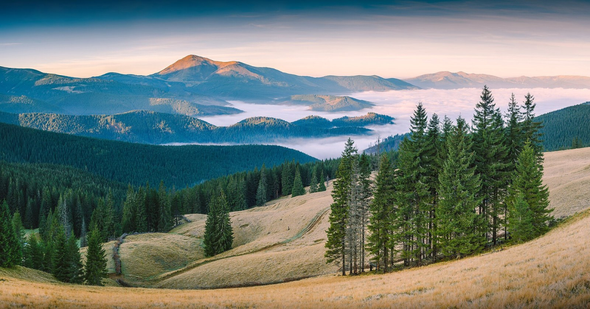 Mountain landscape in the Carpathian Biosphere Reserve Mountain landscape in the Carpathian Biosphere Reserve