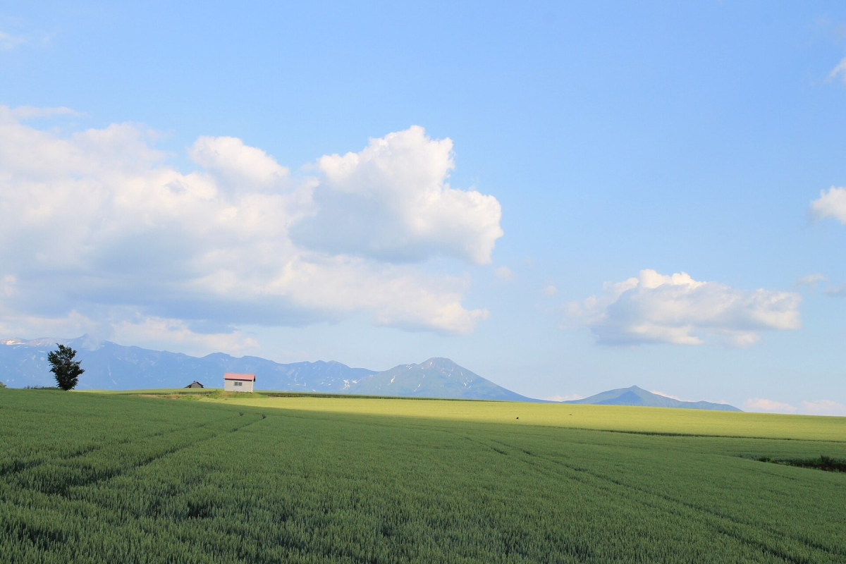 Open countryside and mountains in Hokkaido Open countryside and mountains in Hokkaido