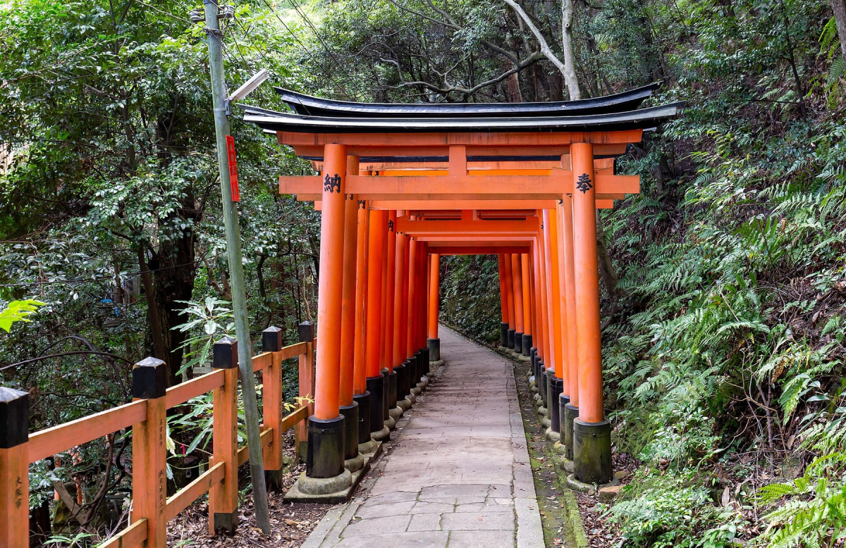 Torii gates at Fushimi Inari Taisha Torii gates at Fushimi Inari Taisha