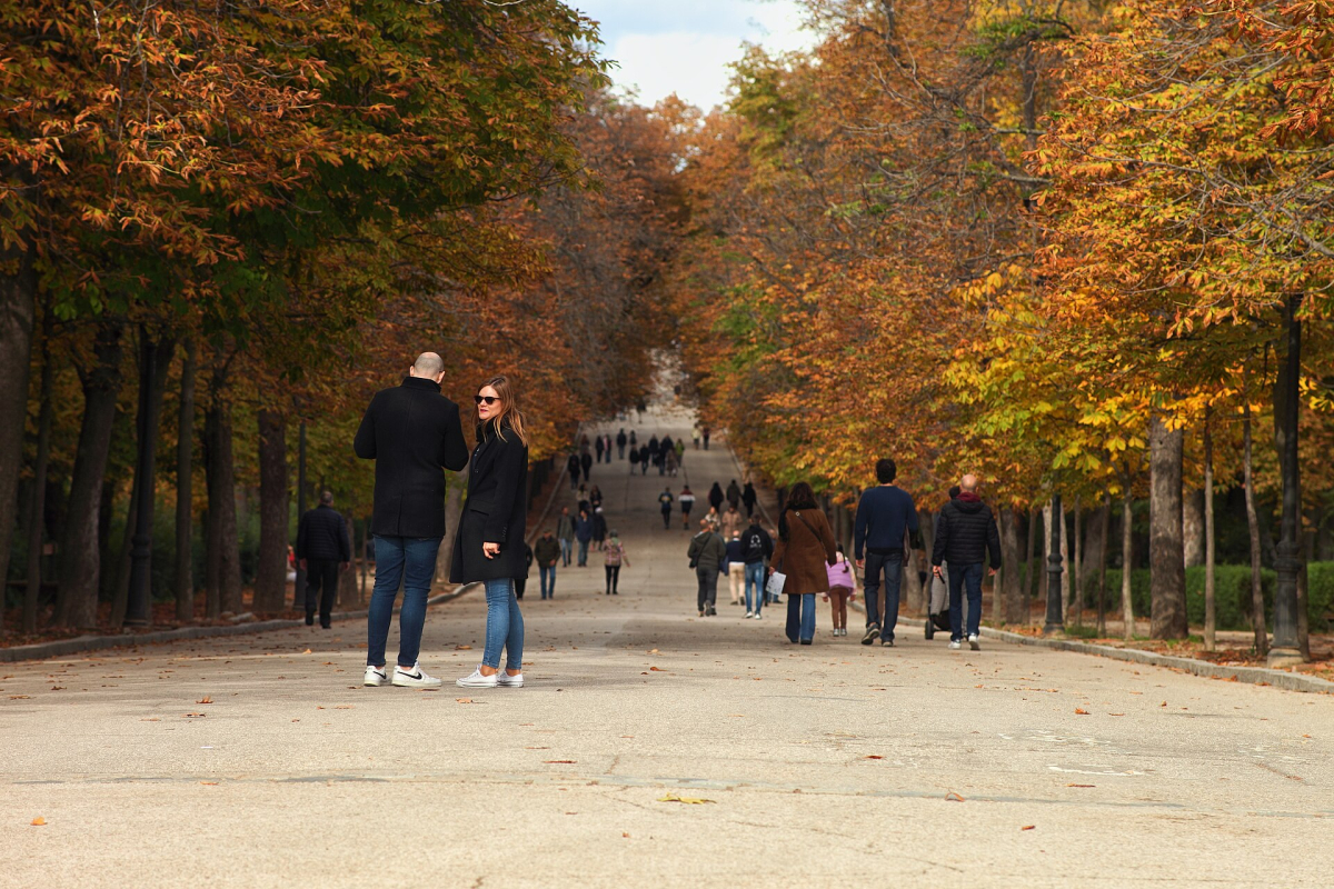 Autumn colour along a Retiro Park path. Autumn colour along a Retiro Park path.