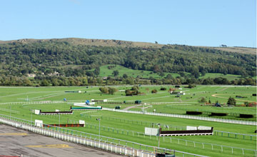 Cheltenham Festival