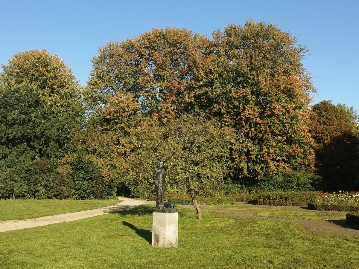 Autumn colour in Vondelpark. Autumn colour in Vondelpark.