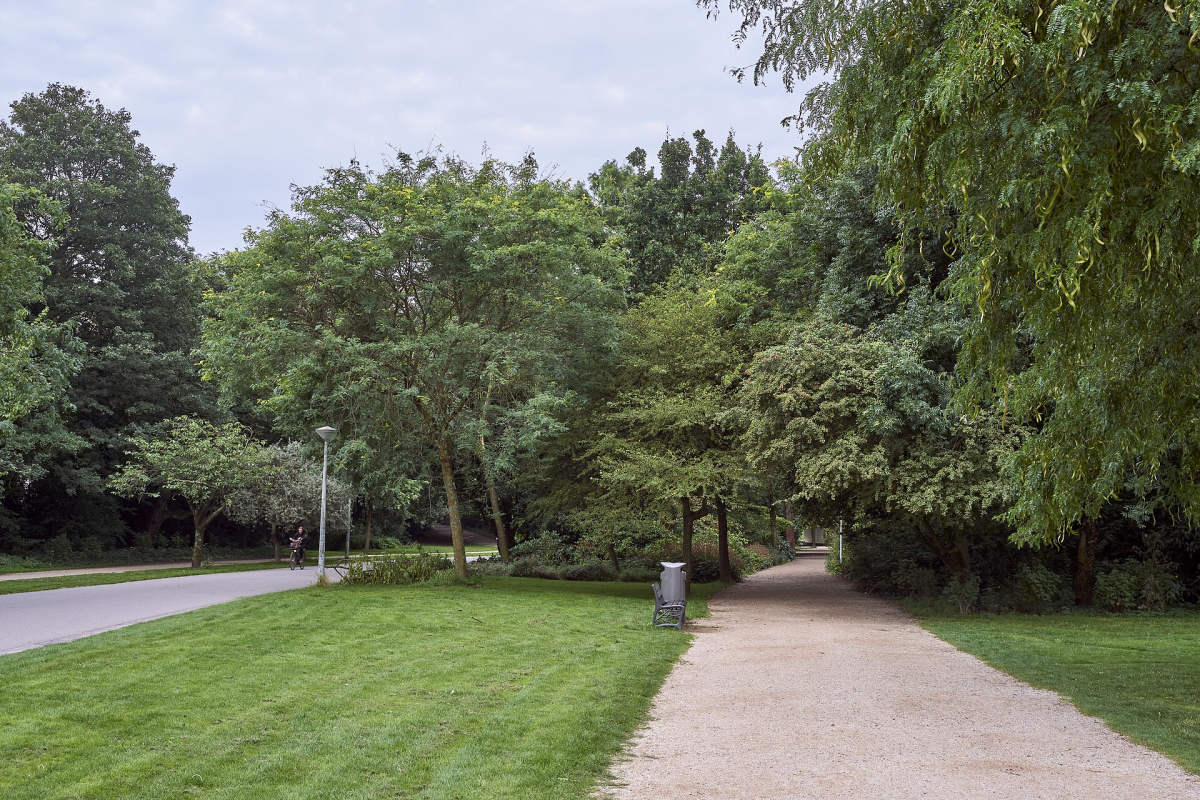 A tree-lined path in Vondelpark. A tree-lined path in Vondelpark.