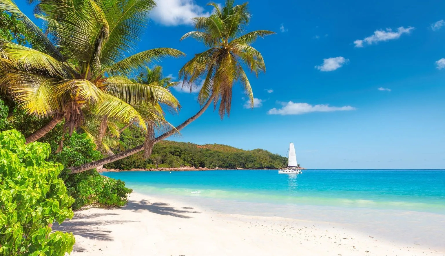 Jamaica Beaches – Best Beaches, Swimming Spots & Coastal Views Turquoise Caribbean water and a palm-framed white-sand beach in Jamaica